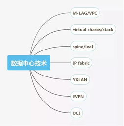 網絡工程師技能圖譜 從基礎到進階的全面指南